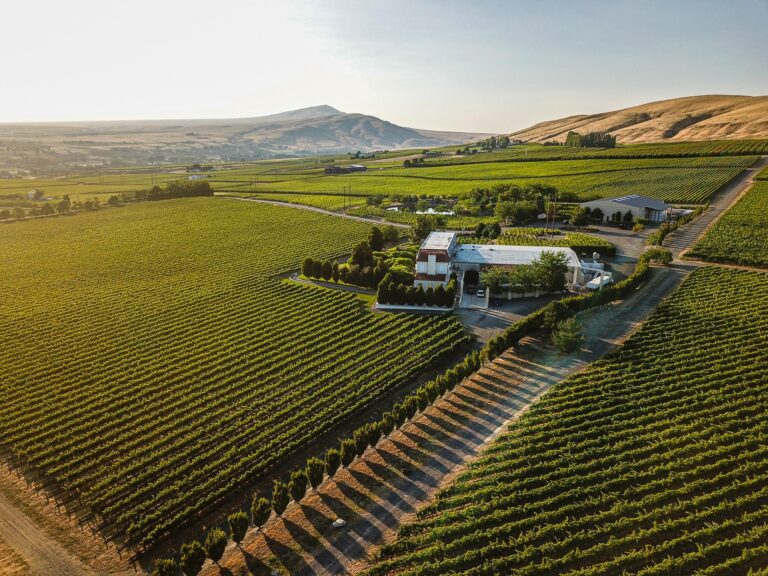 Aerial view of lush vineyards and winery buildings in Washington state under a clear sky.