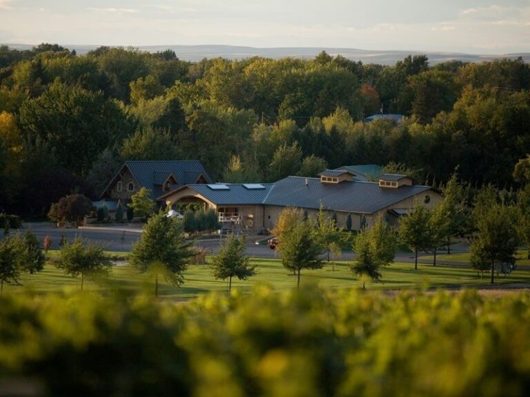 Leonetti Cellar nestled among lush vineyards and trees under a clear sky.