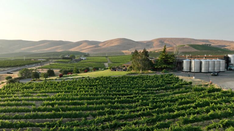 Treveri Cellars vineyard and winery with rolling hills and storage tanks in the background.