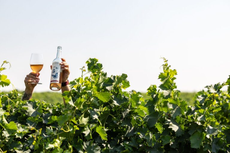 Hands holding a wine bottle and glass rise above lush vineyard foliage against a clear blue sky.